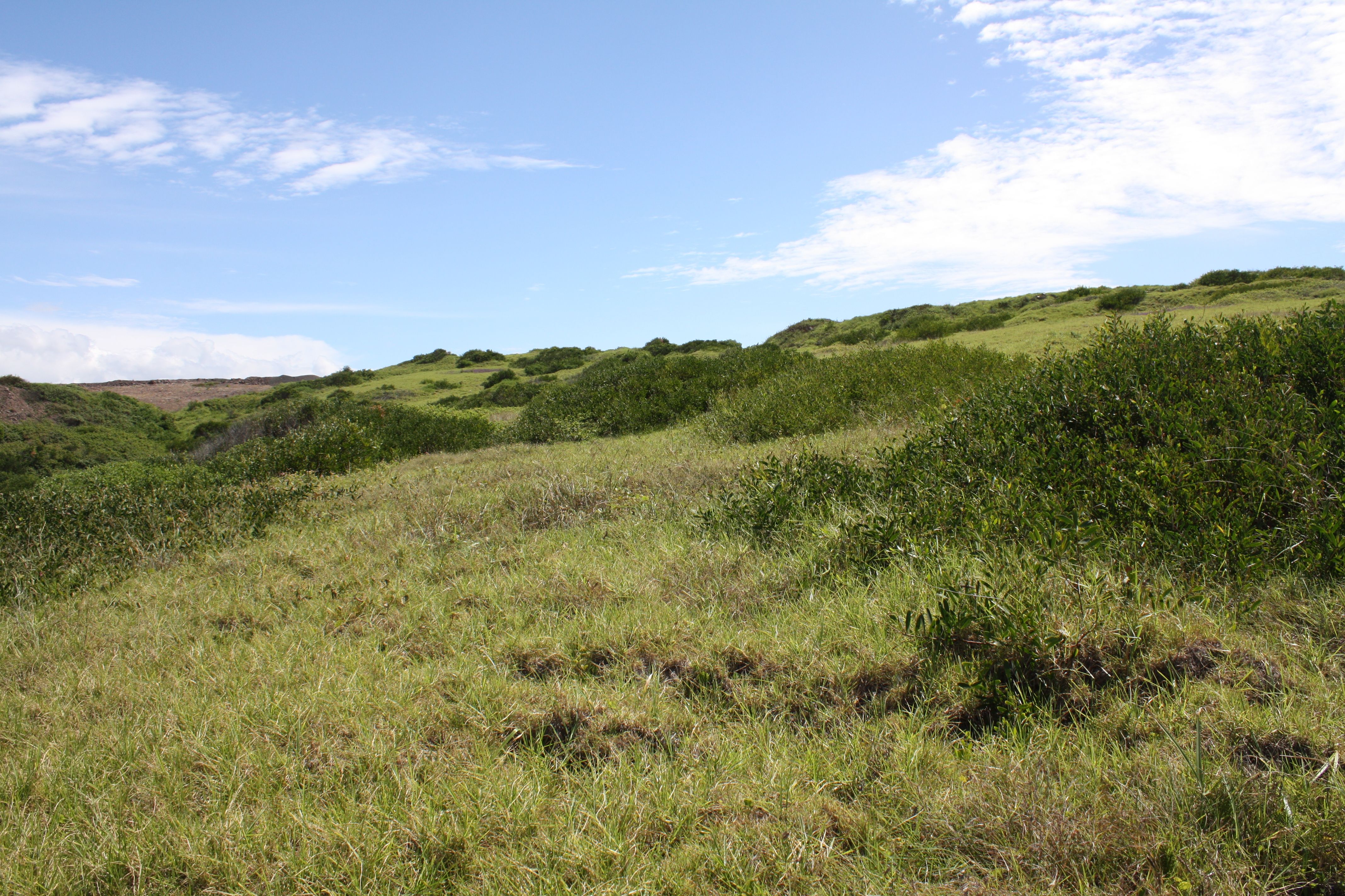 Green field at Bunyip North Quarry site