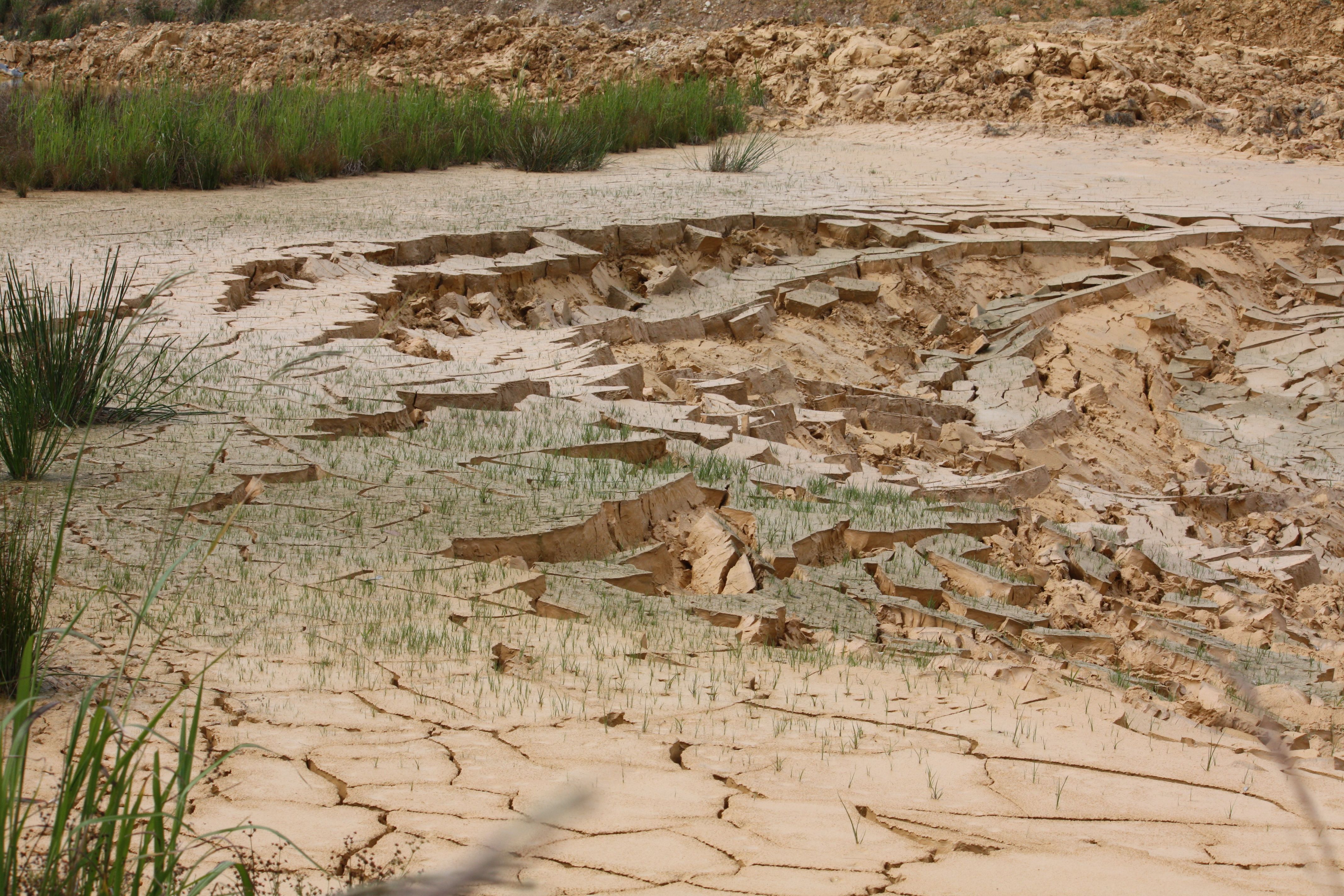 Sand and equipment at Central Coast Sands site