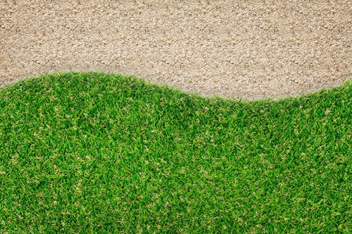 Lawnsand topdressing on green turf