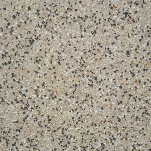 Dalmatian